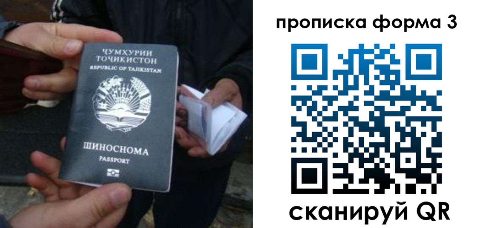прописка 2025 в Боровичах
